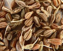صورة Anise seeds
