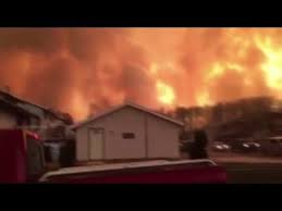 Resultado de imagem para incendios no canada