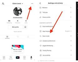 صورة TikTok dark mode settings