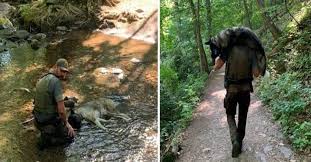 Jovem salva vida do cachorro desidratado nos ombros e não conseguia se mexer