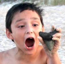 Adam Montez reacts to finding a 4-inch prehistoric Megalodon shark tooth at Mickler&#39;s Landing in Ponte Vedra Beach. His mom said it &quot;was a great day for my ... - 440316191