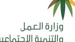 «العمل والتنمية الاجتماعية» تطرح منافسة