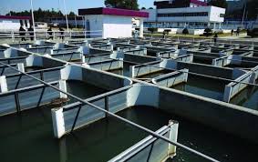 En crisis del agua falta mayor justicia hídrica: Ruanova