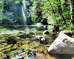 Image of Salmon River Trail Welches Oregon