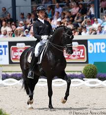 Dressage-News - News update