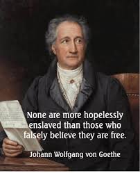 Johann Wolfgang von Goethe via Relatably.com