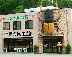 世界の昆虫館の画像