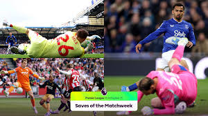 Watch: The BEST SAVES from Matchweek 35