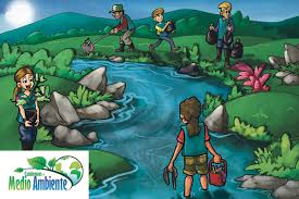 Resultado de imagen para el medio ambiente en colombia