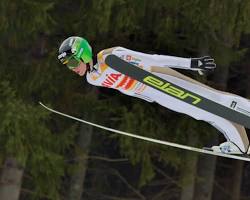 Ski jumping resmi