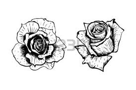 Bildergebnis für rose gezeichnet