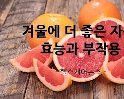 자몽이네 이미지