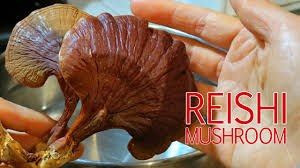 Image result for língchí photos