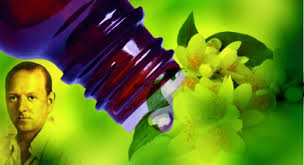 Resultado de imagen para imagenes de las flores de Bach