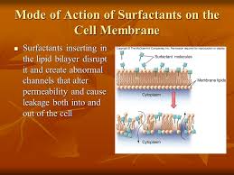 Image result for Biological Effects of Surfactants