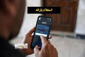 یارانه ۷۰۰ هزار تومانی؛ فقط برای چند لقمه گوشت! / نقد کارشناسی بر معیشت مردم و اثر یارانه‌ها / جزئیات نحوه واریز و گروه‌های مشمول
