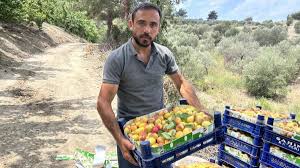 Gazete Vatan - News update