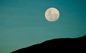 Trend Google: luna blu 31 maggio