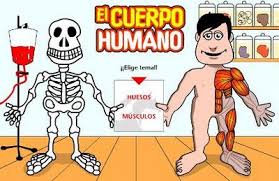 http://www.cajastur.es/clubdoblea/diviertete/juegos/elcuerpohumano.html