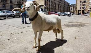 images?q=tbn:ANd9GcSLsi5gfjSjeVVDoyU20r5EiZ-n1tv4GQonI7IURNVU4YfvUKaNrA