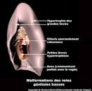 astuces pour que son enfant n ait plus peur de la douche - Maman