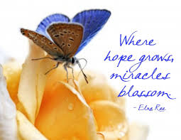 Image result for quotes on hope with butterflies