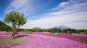 Hasil gambar untuk gunung fuji