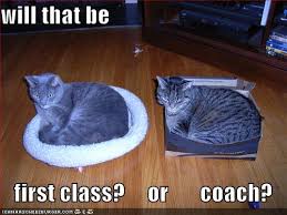 Image result for travel funnies