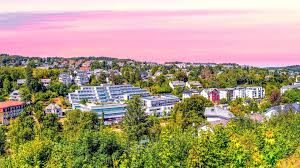 taunus