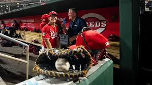 How to Watch the Cincinnati Reds in 2026: TV Providers, Streaming Options, and More