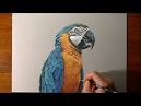 Virtual villagers 2 parrots talking on youtube <?=substr(md5('https://encrypted-tbn1.gstatic.com/images?q=tbn:ANd9GcSMNmK9NZf-H3KE9lTfYpe92BIk9QN73tnXAeG5h-utJUPOtNRgIDnV-y78'), 0, 7); ?>