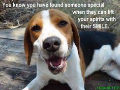 Quotes About Beagles. QuotesGram via Relatably.com