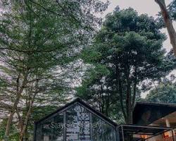 Gambar Miss Bee Providore, Bandung
