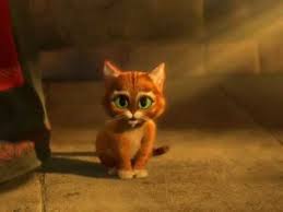 Image result for puss