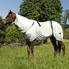 Risultati immagini per coperte per cavalli
