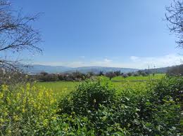 Today’s weather: Clear skies and mild temperatures