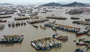 Thousands evacuated and flights grounded as Typhoon Champi hits eastern China