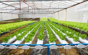 fertigation systems ile ilgili görsel sonucu