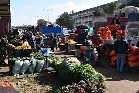 Slight Increase in Sheep Meat Prices in Casablanca