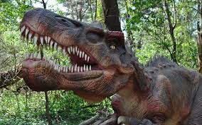 Image result for real life pictures of dinosaurs