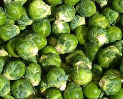 Image of Brussels sprout vegetable
