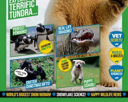 Imagen de Animal Planet Magazine