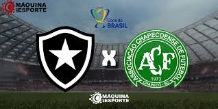 Botafogo x Chapecoense: Onde assistir ao jogo de ida da 5ª fase da Copa do Brasil