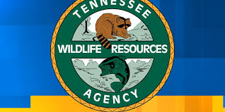 WVLT - News update