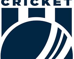 Image of Fox Cricket 501 HD logo