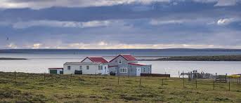 USA zweifeln Status der Falklandinseln an: Will Trump jetzt Nato-Länder bestrafen?