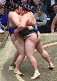 画像・写真：玉鷲の寄り切り：時事ドットコム