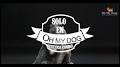 Video for Oh My Dog, Estética Canina