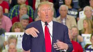 Image result for trump mocking