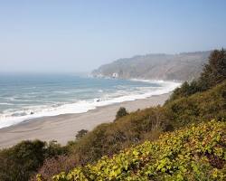 Image of Eureka California in Summer